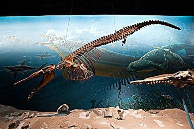 《机动战士 激斗命运 复刻版》预购 售价198元