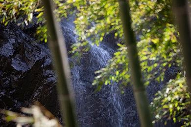 EVO2023《街头霸王6》项目冠军诞生 怒鸟选手夺冠